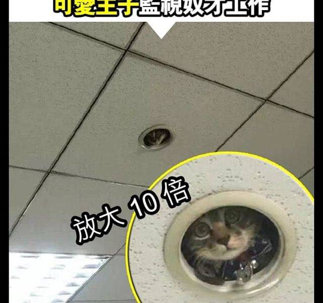 【#真係架點解既好叻呀】呢個CCTV，真係好隱蔽！