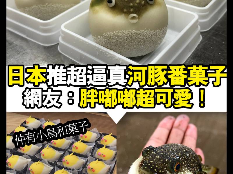 【#Chill好食】日本推超真河豚番菓子！