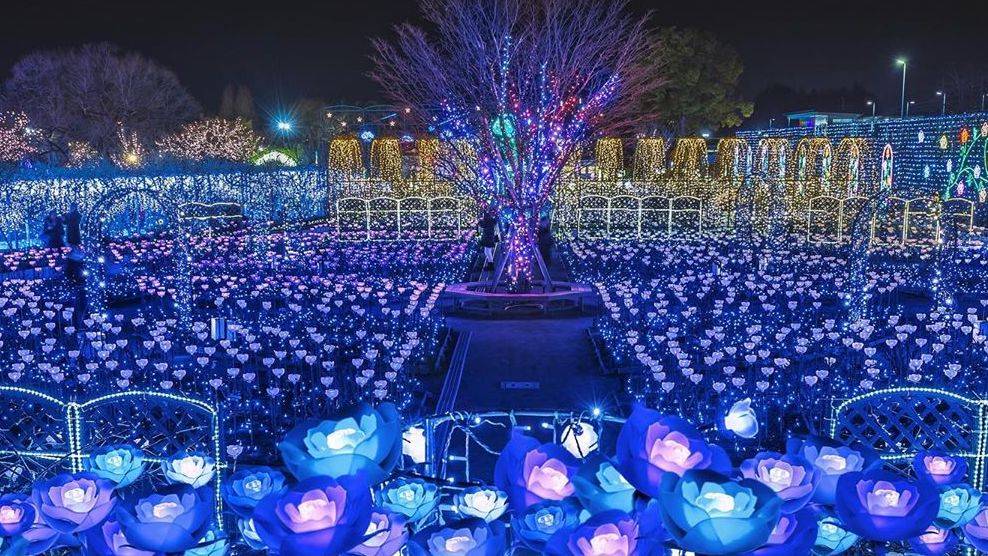 《鬼滅之刃》紫藤花完美呈現 日本櫪木縣足利花卉公園燈光騷超夢幻