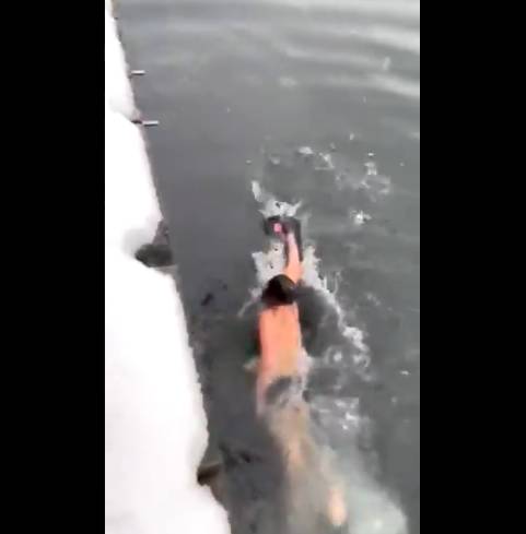iPhone XS跌落海都無事？加拿大男子落雪冒寒跳海執手機