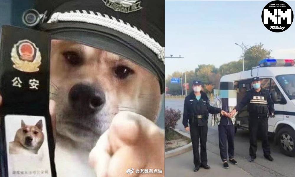 內地男用狗狗警察表情包被指辱警 遭行政拘留9日 網民：以後只用貓貓
