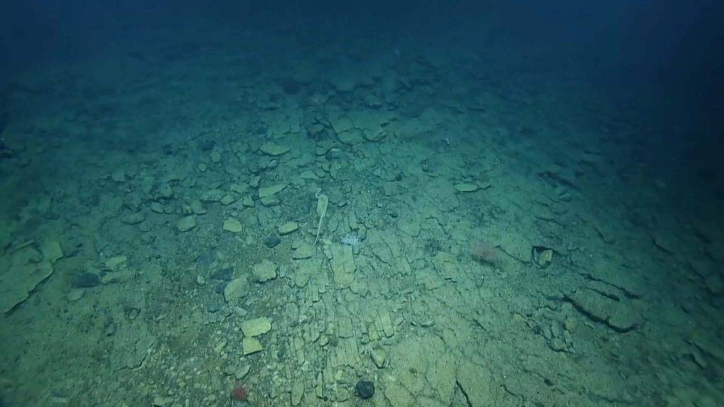亞特蘭提斯 近日在夏威夷海底發現一條「黃磚路」