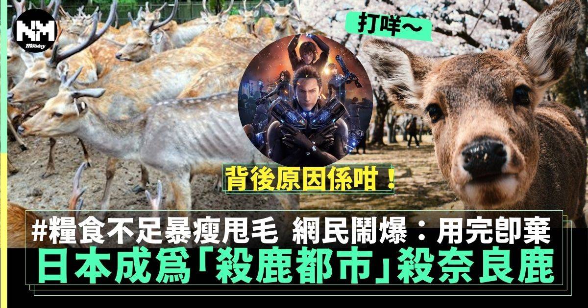 日本政府考慮撲殺奈良鹿每年180隻 背後原因引網民鬧爆「殺鹿都市」!