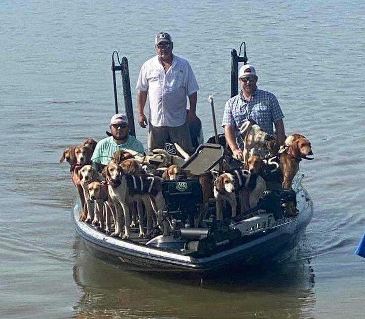 美國釣魚之旅意外救援38隻狗狗 獵鹿活動意外導致狗狗落水