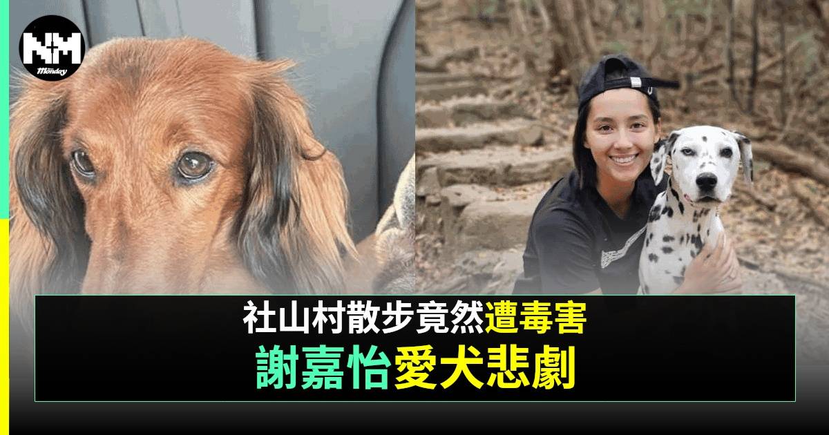 前港姐冠軍2愛犬慘遭投毒不治 發文怒斥：對人性失去信心！