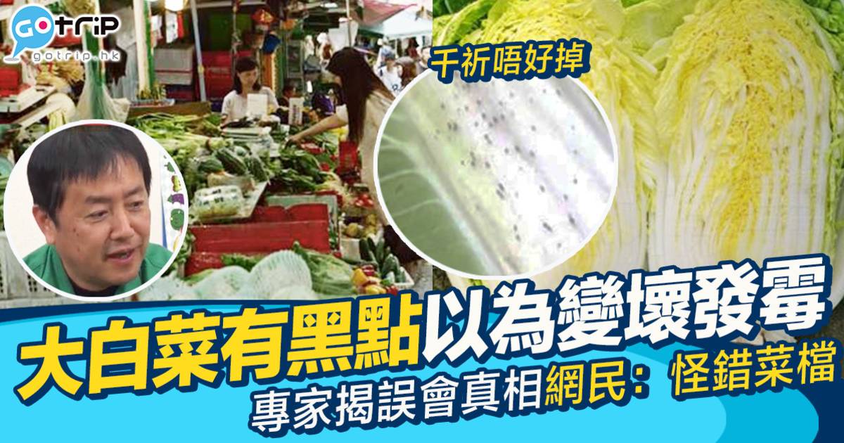 大白菜有黑點原來是好貨　日本專家警告千萬勿掉　真相震驚網民：我錯