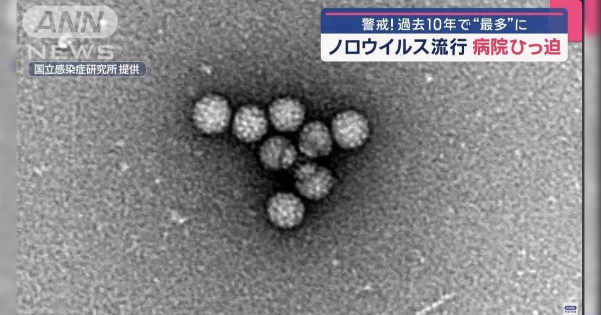 日本諾如病毒肆虐｜醫生分享旅行必備10款平安藥  突然腹瀉可吃1食物緩解