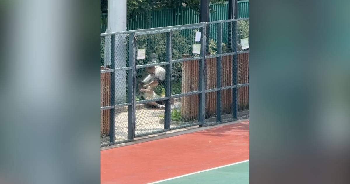 荃灣金毛男光天白日襲擊少女 驚呼救命無人理 結局震驚網民籲報警！