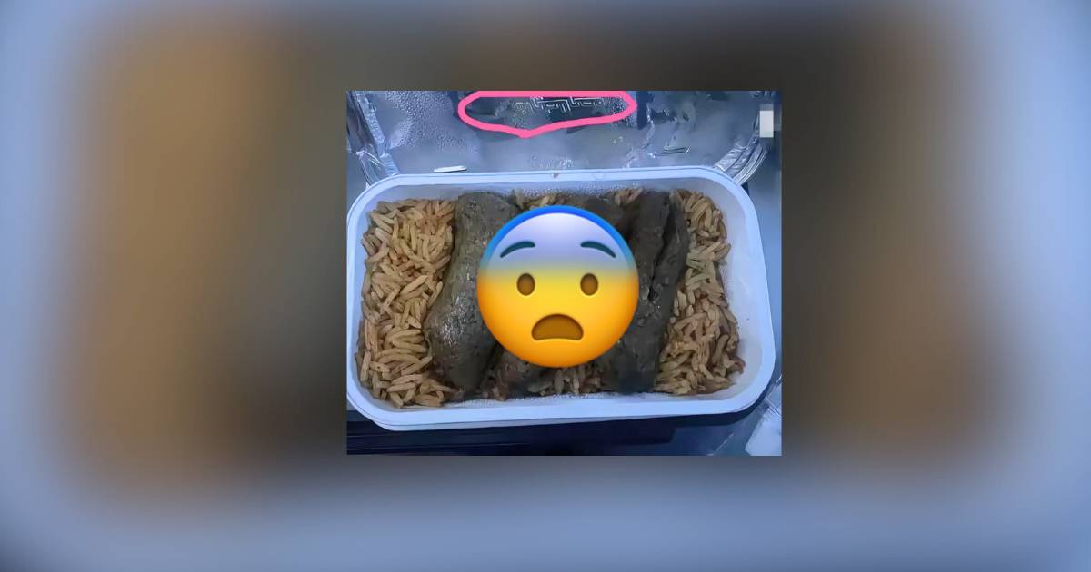 網民被飛機餐賣相嚇傻「以為係貓砂」　食完驚嘆超好味！