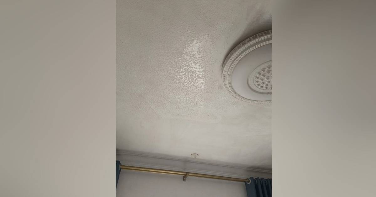 樓上冷氣開太冷慘！　港女住樓下呻天花板滴水　專家教你1招解決