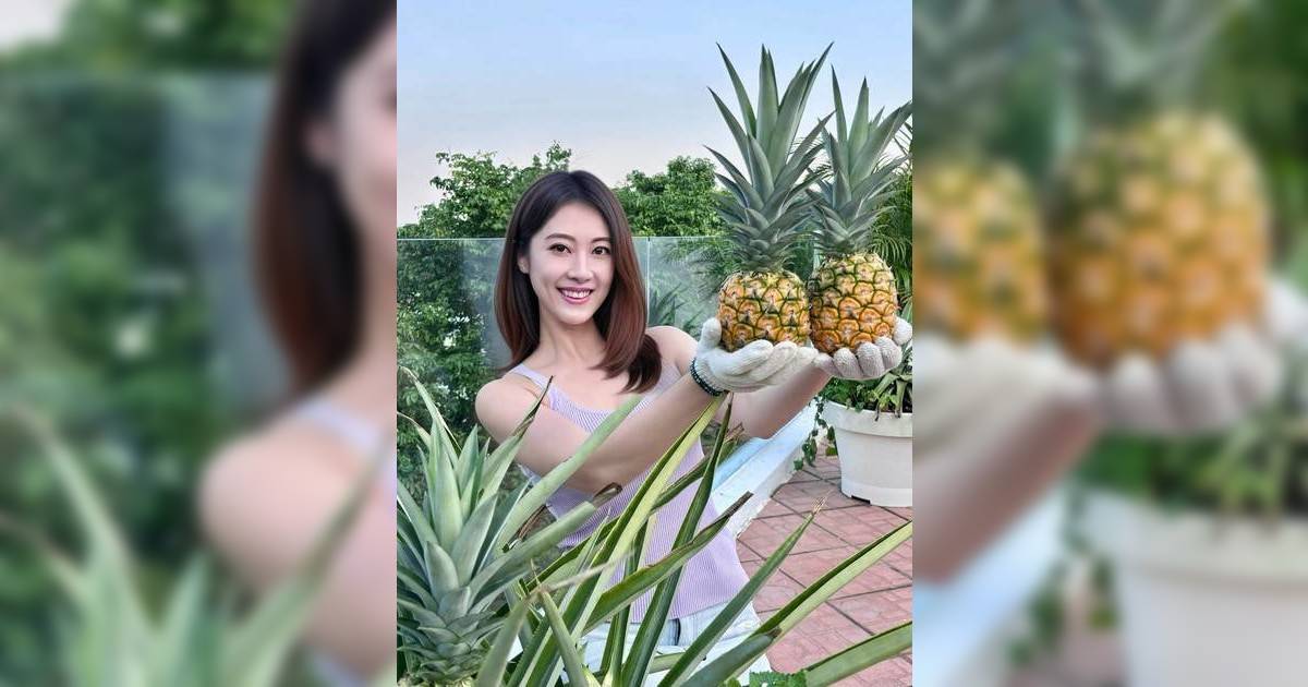 《愛回家》Mandy謝芷倫豪宅露台驚變菠蘿田  紫色小背心上陣騒Fit爆身材勁搶Fo