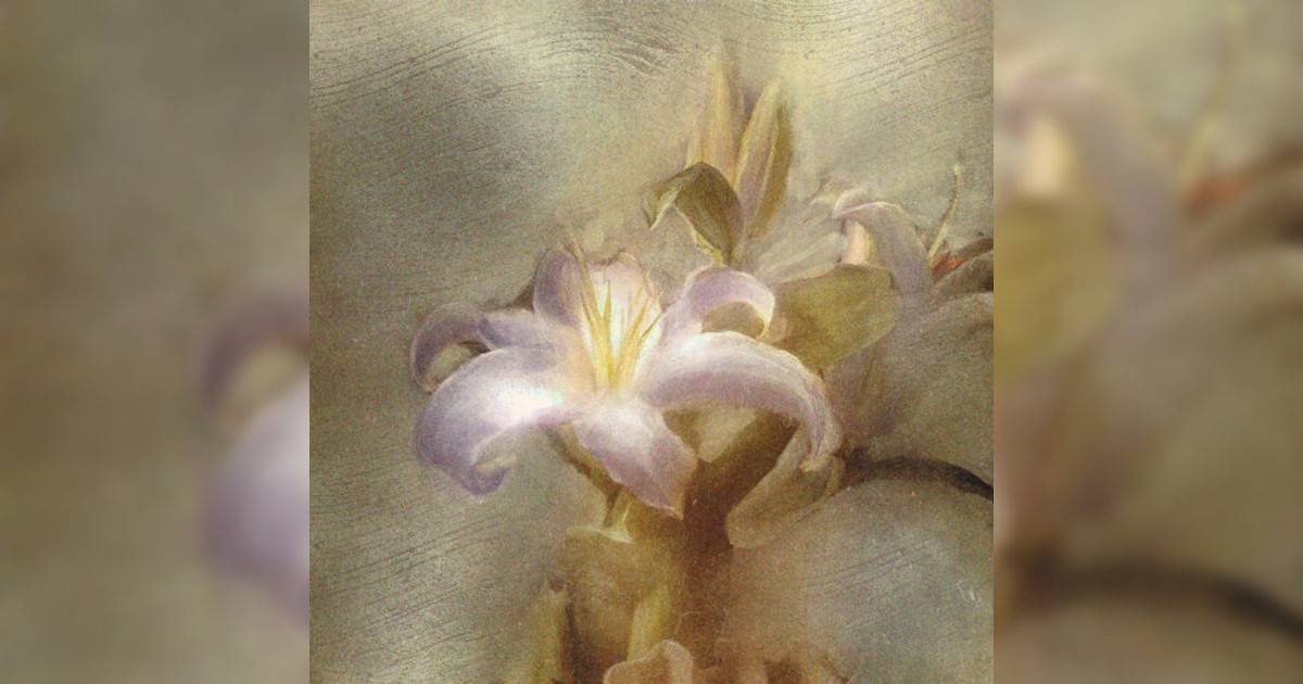 yung kai新歌《flower》｜歌詞＋新歌試聽及yung kai熱門歌曲推薦