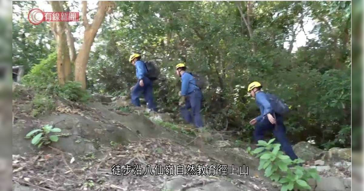 8歲男童自首虛報八仙嶺山火 全家被口頭警告後獲准離開 男童報案原因曝光