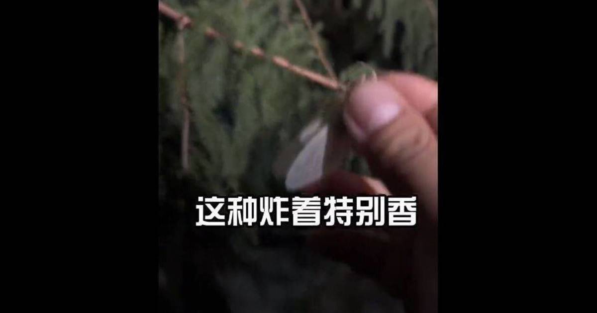 內地客深夜闖東京公園搜尋食材｜興奮喊「炸著特別香」當局急設中文警告牌