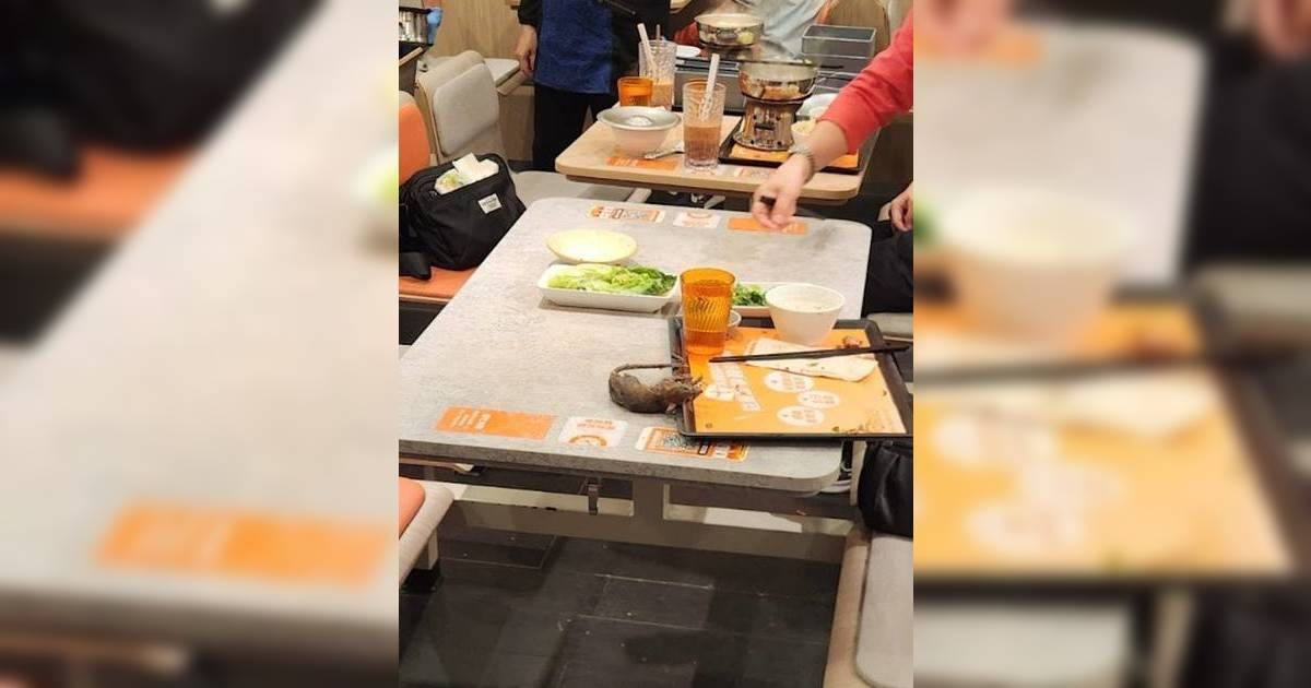 大快活天降風乾老鼠屍｜分店緊急暫停營業全面消毒 網民求「心理陰影面積」