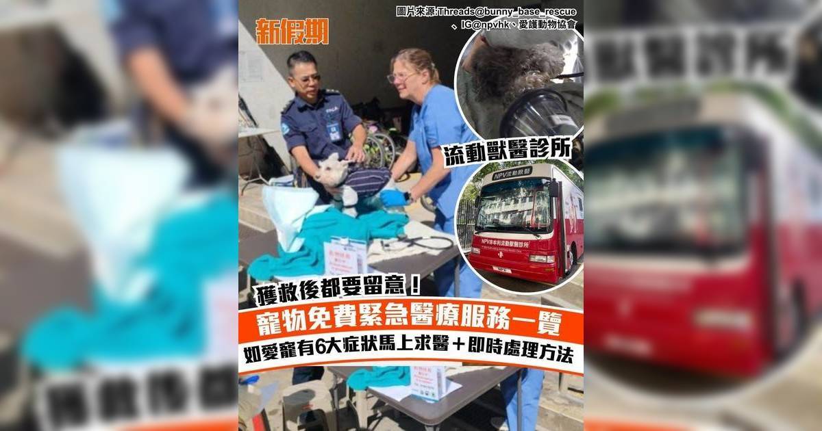 大埔宏福苑五級火|寵物免費緊急醫療服務一覽 6大症狀馬上求醫