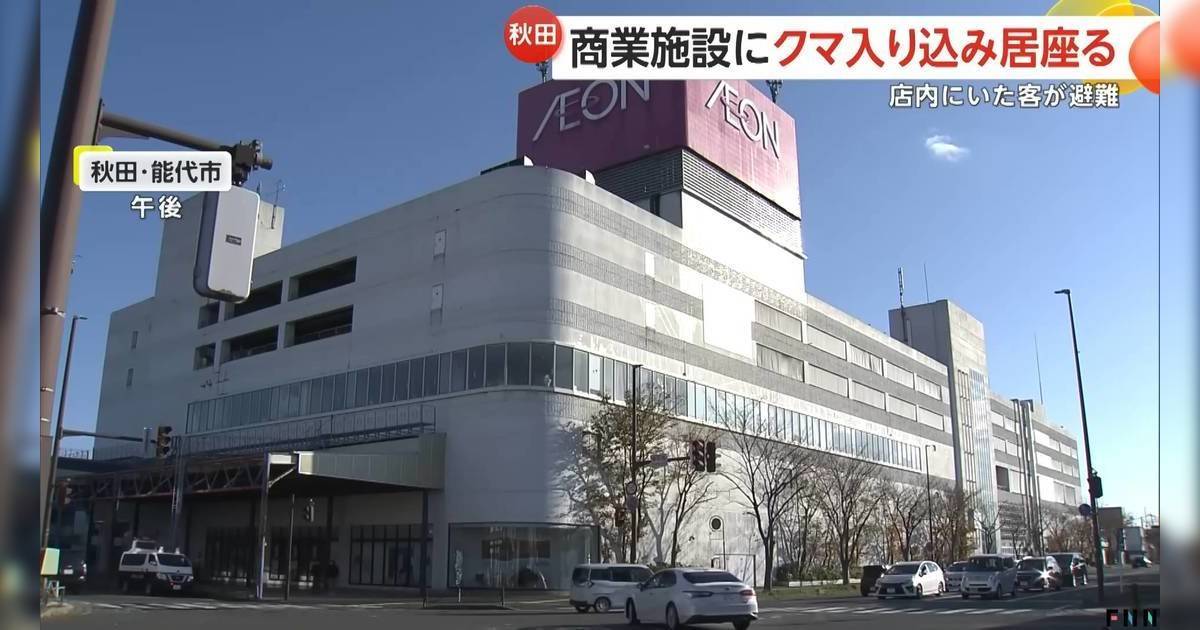 野熊全面入侵社區｜日本AEON商場驚現野熊！逗留2小時被麻醉射殺