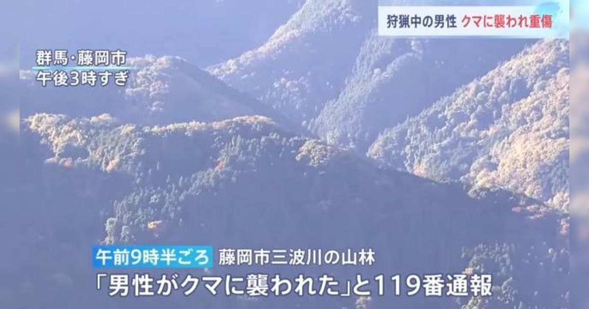 日本黑熊中槍扮死！60歲獵人上前檢查慘遭反撲 前首相呼籲振興野味文化