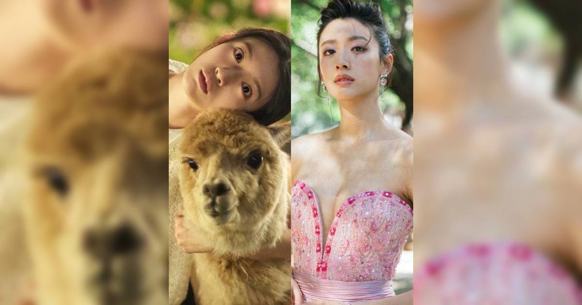 蔡思貝抱羊駝發女強人宣言 密謀稱霸全世界網民讚爆