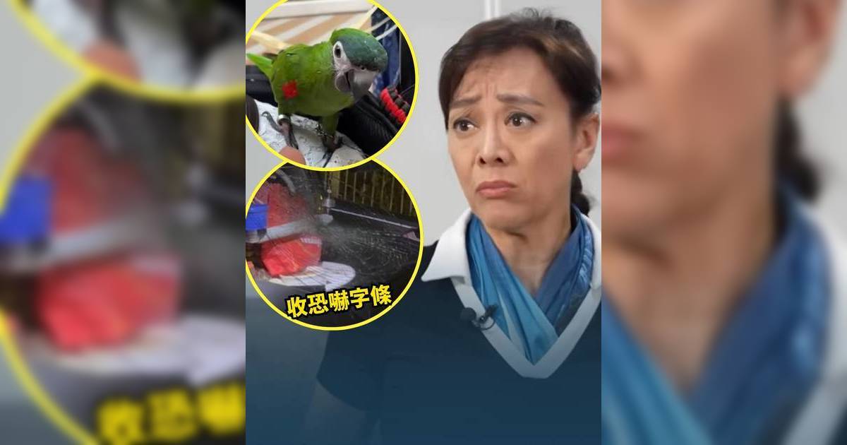 東張西望｜郭秀雲遭阿婆指控搶雀 座駕被毀 疑與前義工糾紛有關