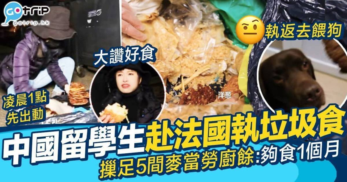 中國留學生遠赴法國專執垃圾食　摷麥當勞垃圾桶當食放題：我隻狗都係食呢啲