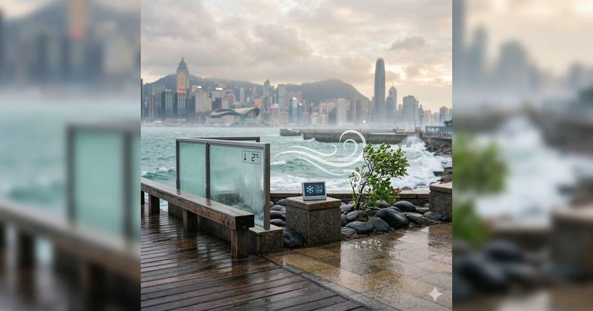 倒春寒｜氣溫急跌！強風季候風殺到 專家警告一件事