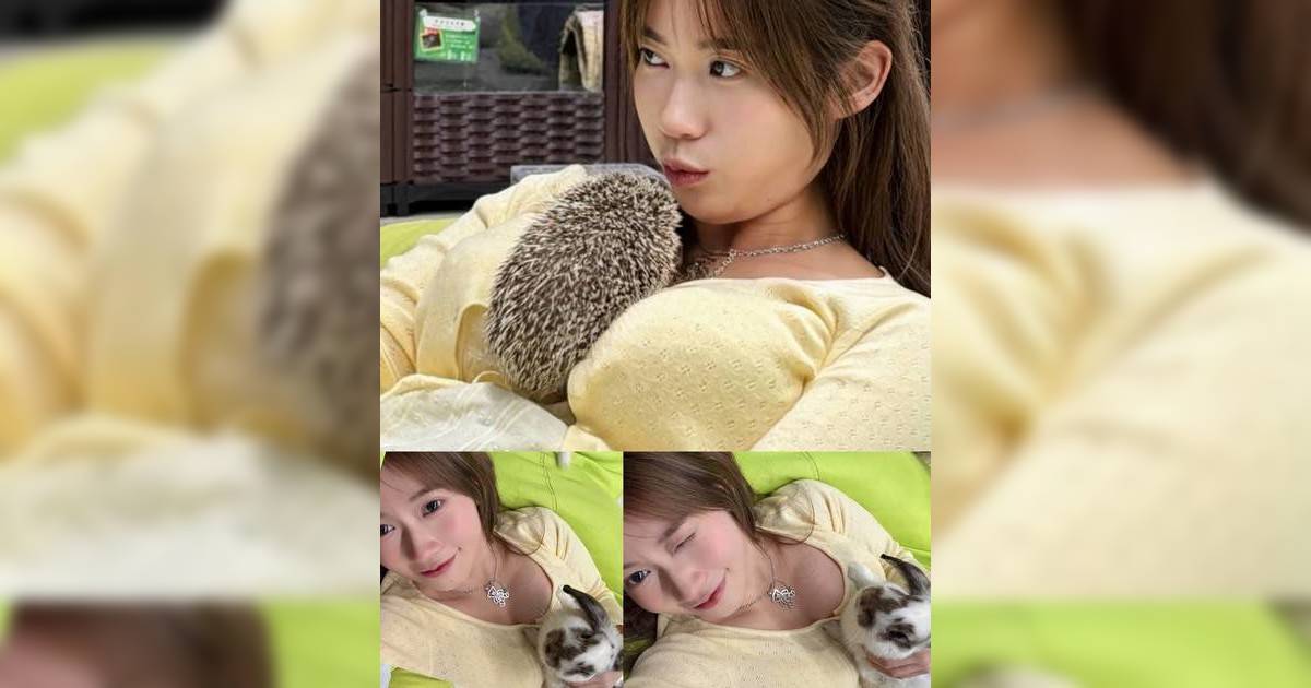 多圖！波波黃婧靈異寵Cafe大解放 小動物貼身「尋寶」引起熱議