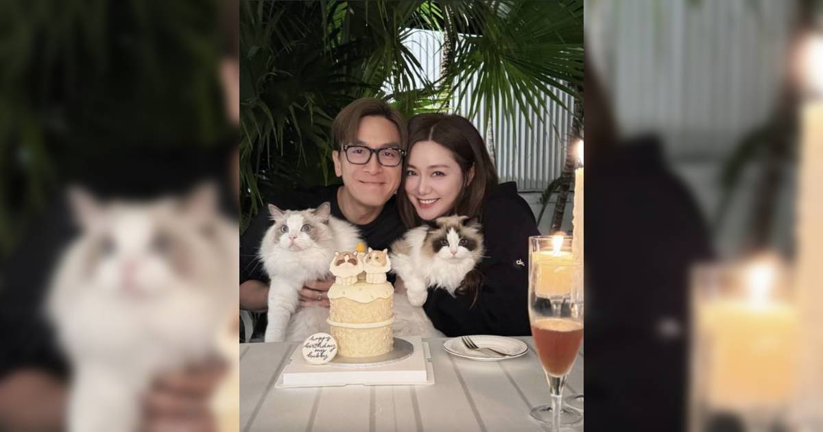 湯洛雯孕味濃出巡 馬國明全程緊隨護妻 靠3招備孕 傳獲圈中人傳授生B秘笈