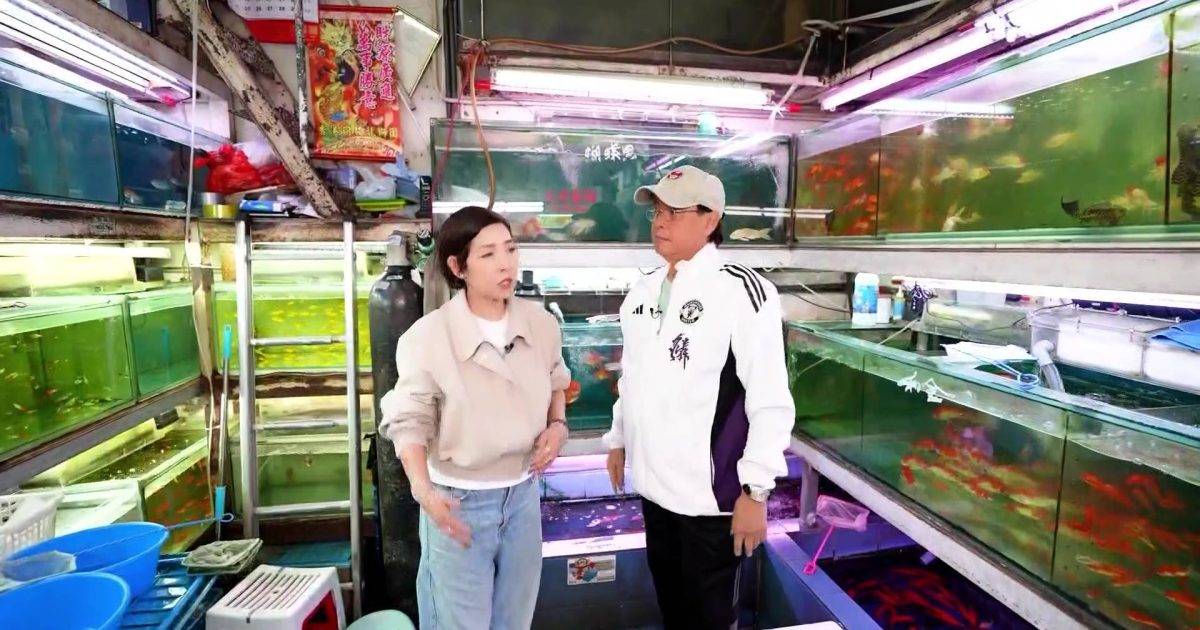 一周星星｜譚詠麟自揭養魚數十年！家中驚現「成埲牆咁大」魚缸再公開捕獲地點