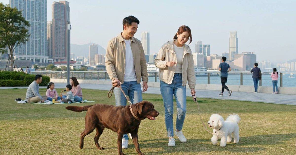 元朗惡犬連殺兩狗！｜狗主終被捕 揭發1個月前早有前科 網民心痛：根本係蓄意謀殺！