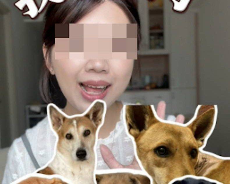 打鼓嶺狗咬人｜戰友沉痛發悼文惹迴響「唔想相信點解會係你？」網民關注1歲太陽處理方式