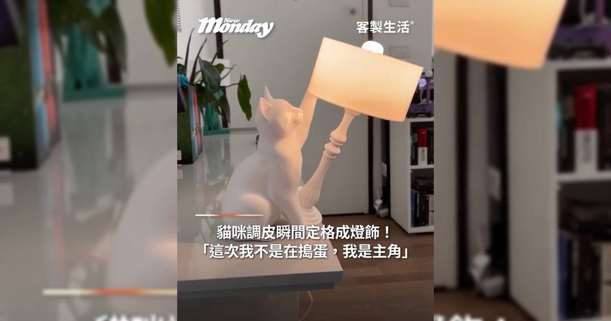 貓咪調皮瞬間定格成燈飾 「這次我不是在搗蛋我是主角！」