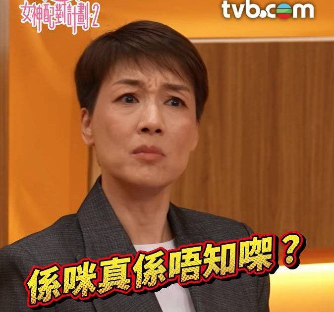 女神配對2｜江美儀流利英語霸氣盤問爆紅 揭入行前深藏不露履歷 3個月獲批加拿大技術移民