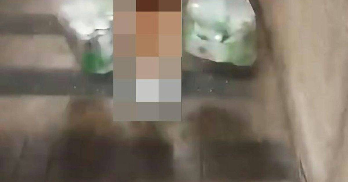 屯門女童孭爛書包獨拎20罐啤酒被父罵「廢人」4分鐘影片瘋傳 校方報警後發聲明