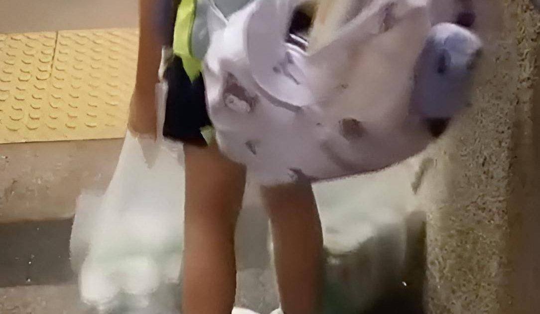 屯門女童拎啤酒 校長詳述上門家訪情況 女童繼父拒開門 兩姊妹請假 附女童校內表現
